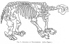 FIG. 7.—SKELETON OF MEGATHERIUM. (After Figuier.)