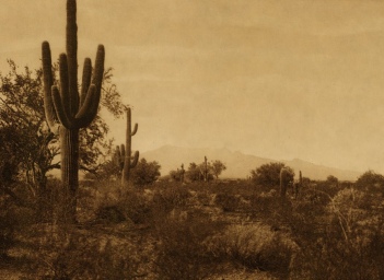 Pima Territory, by Edward Curtis [1912] (Public Domain Image)