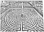 FIG. 73.--Floral Labyrinth (De Vries)