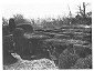 Fig 121. Maze in Bridge End Gardens, Saffron Walden, looking South. [<i>Photo: W.H.M.</i>]