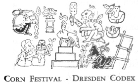 CORN FESTIVAL—DRESDEN CODEX