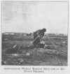 ASSINNIBOINE WOMAN MAKING SOUP OUT OF MY PUPPY FRIENDS.