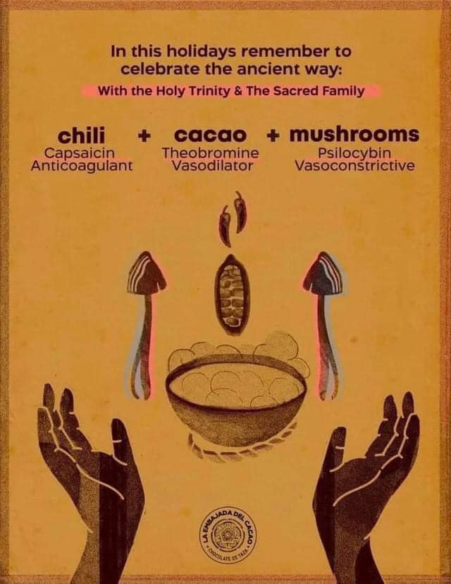 Mushroom Info Memes (11)
