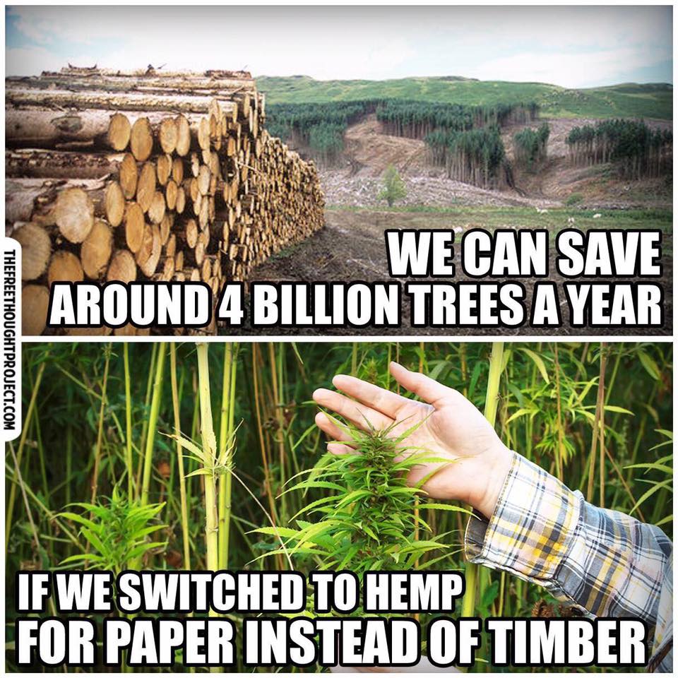 hemp save trees