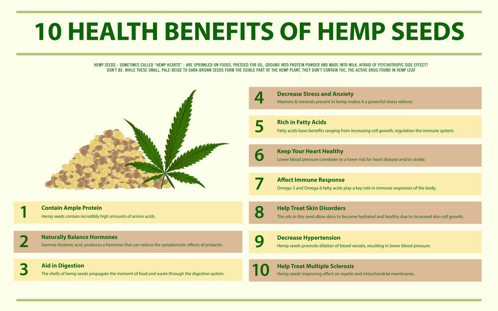 10 health benefits of hemp seeds horizontal infographic, healthcare and medical illustration about cannabis