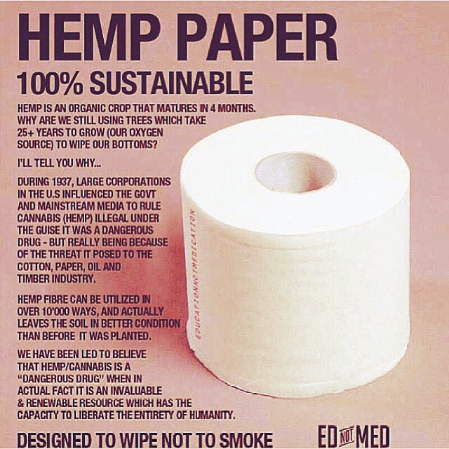 hemp toilet paper 2