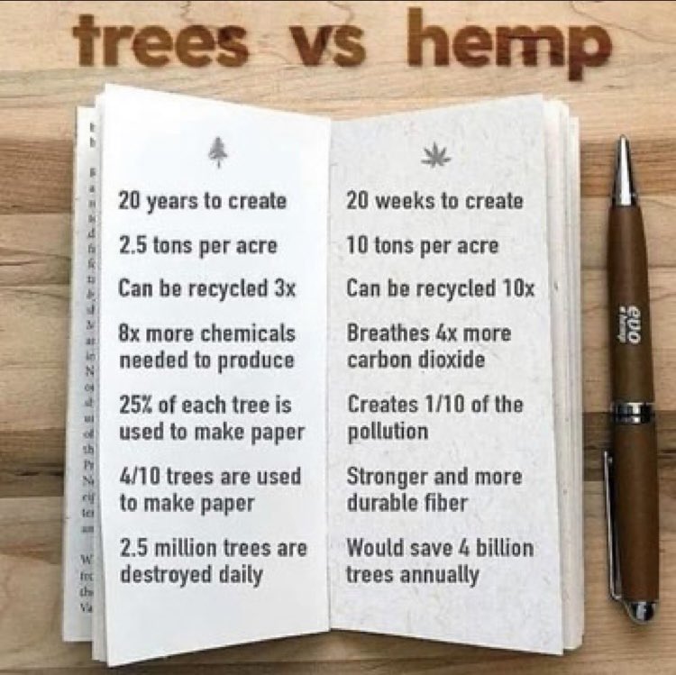 hemp vs trees
