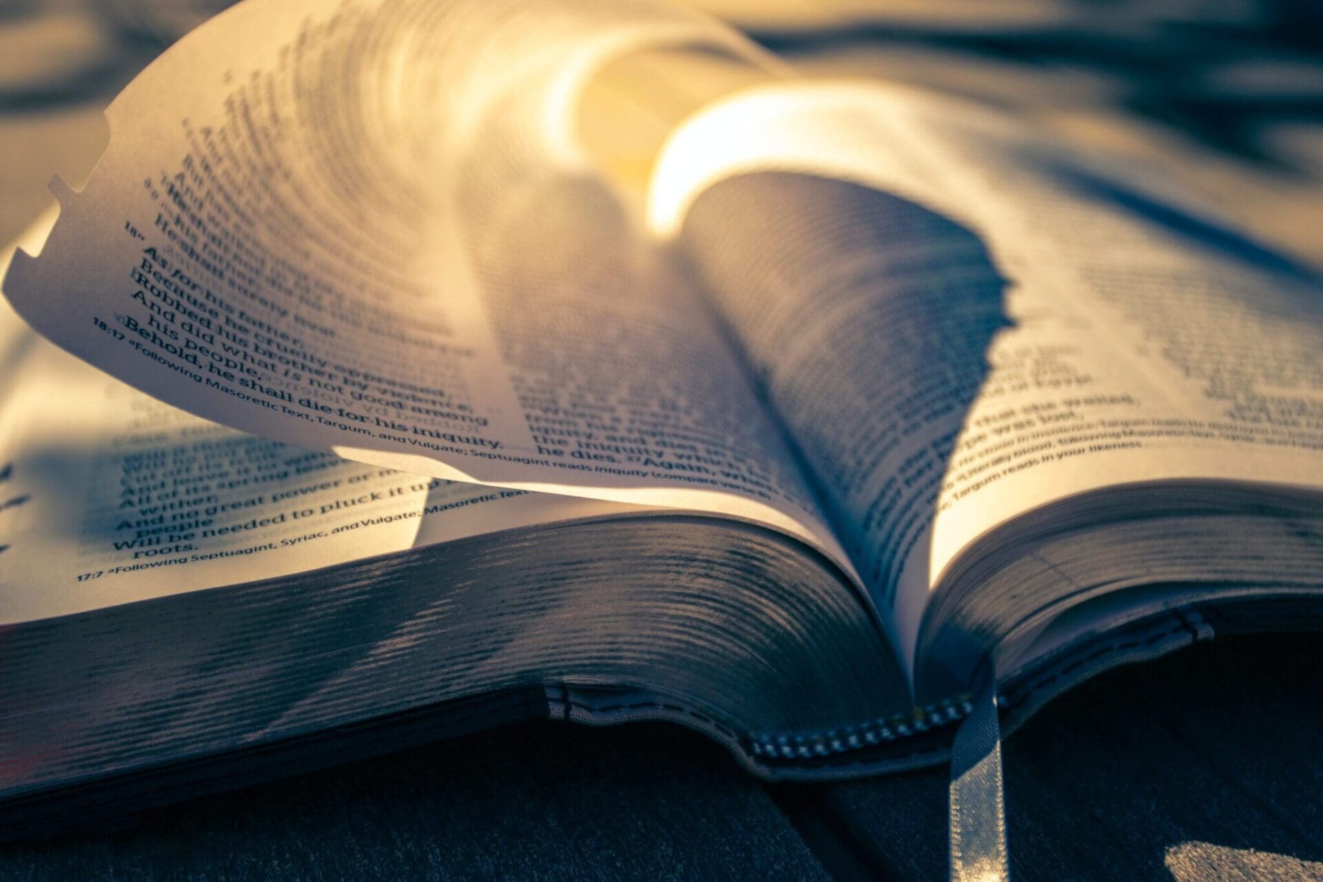 bible